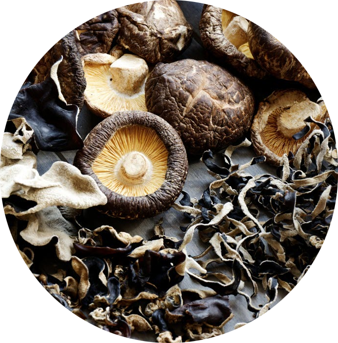 Nos Champignons Séchés