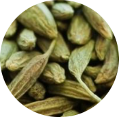 Anis Vert Grains
