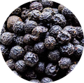 Baies de Verveine