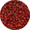 Bais Roses du Brésil