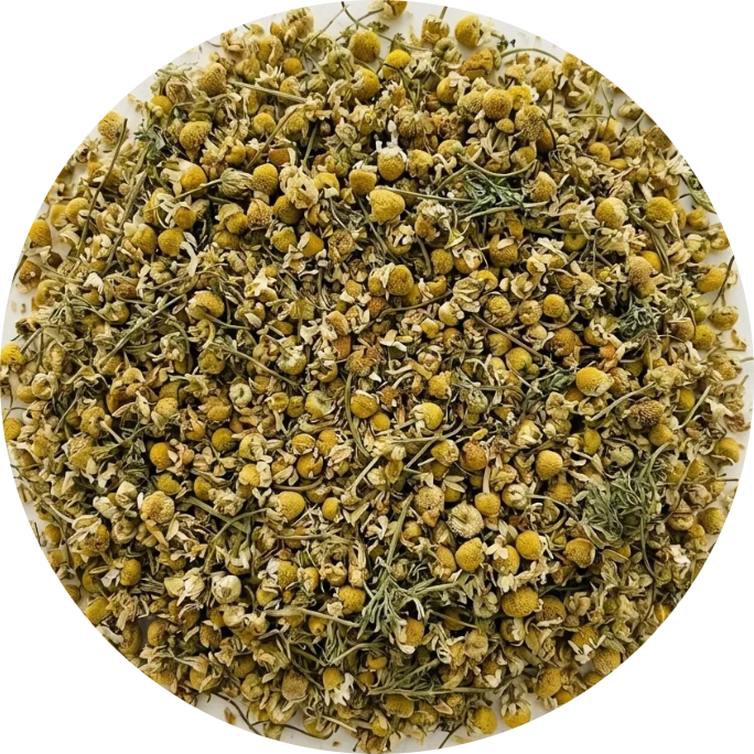 Camomille Fleurs Séchées BIO