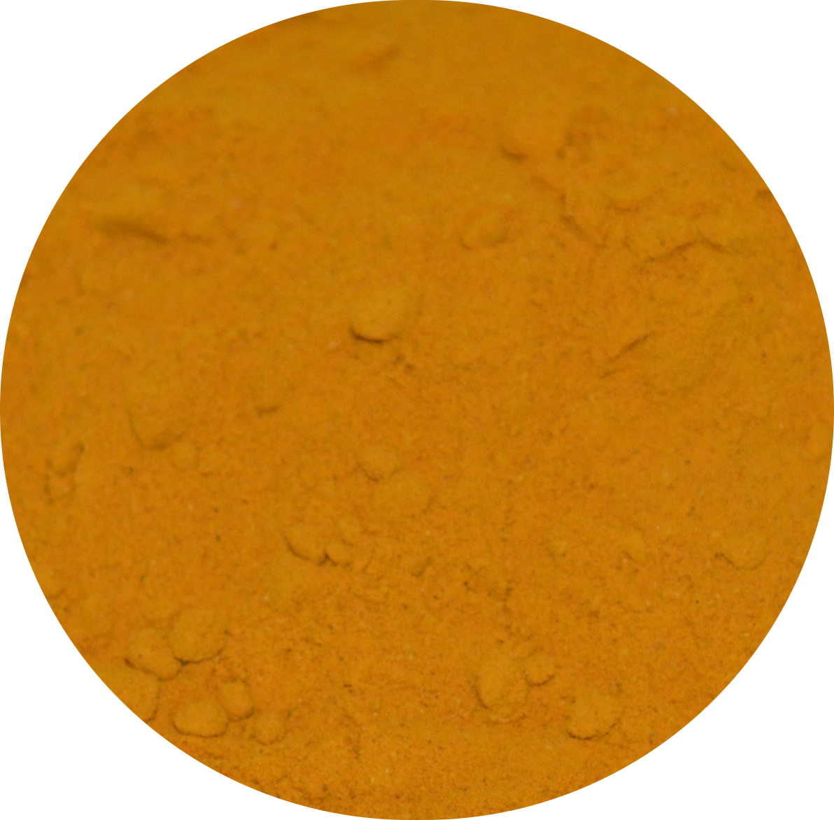 Curcuma Moulu