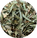 Estragon