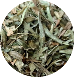 Estragon