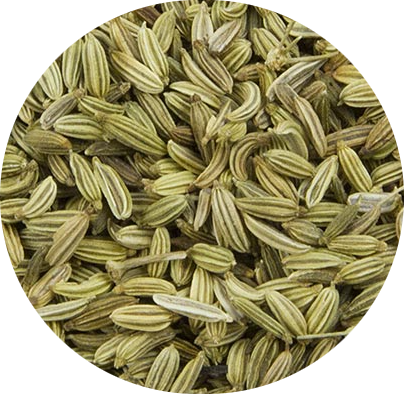 Fenouil grains