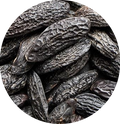 Féves de Tonka