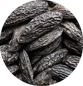 Féves de Tonka