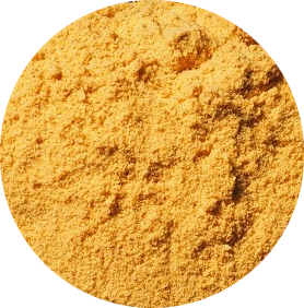Gingembre moulu