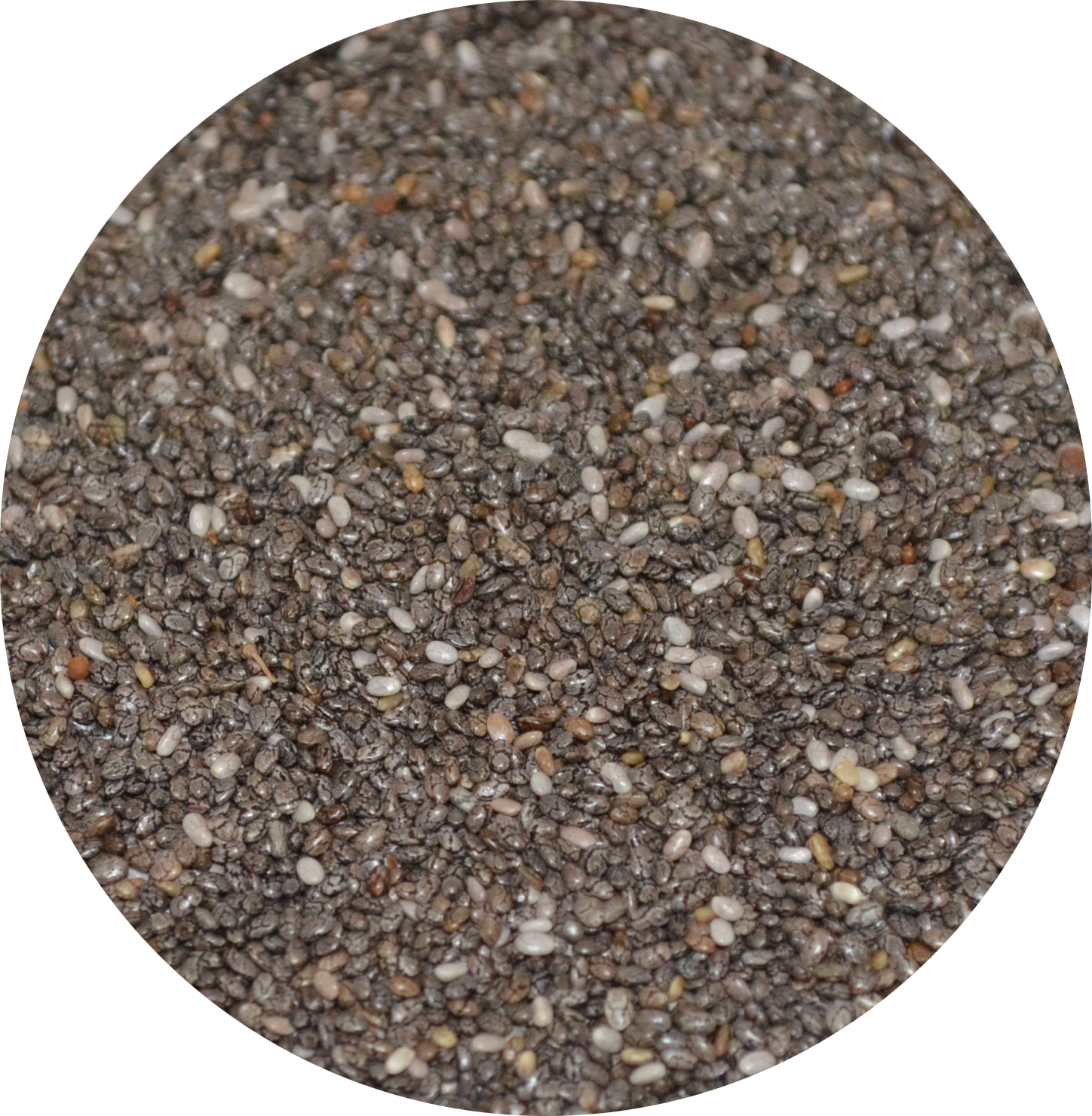 Graines de Chia