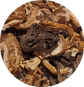 Mélange Forestier Extra