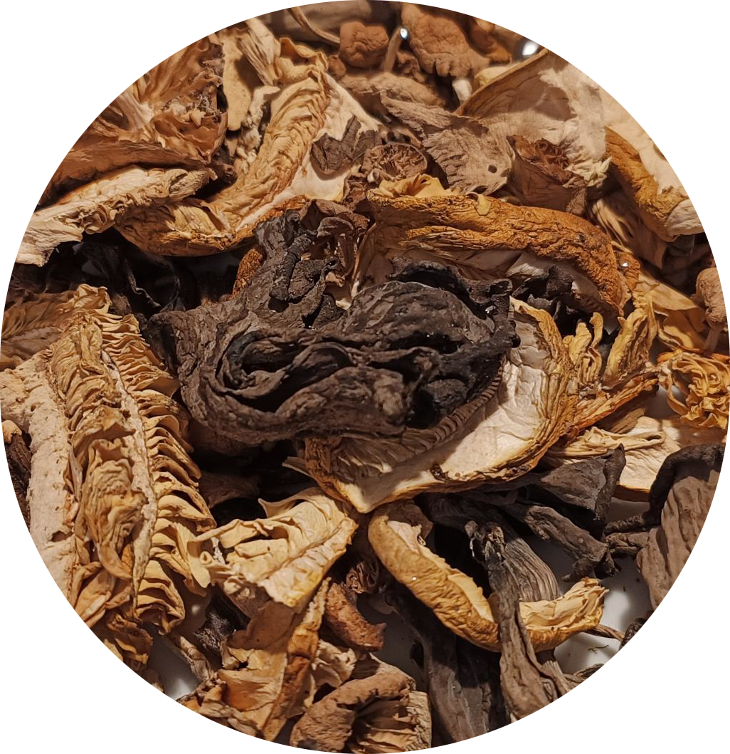 Mélange Forestier Extra