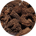 Morilles Speciales et Sauvages