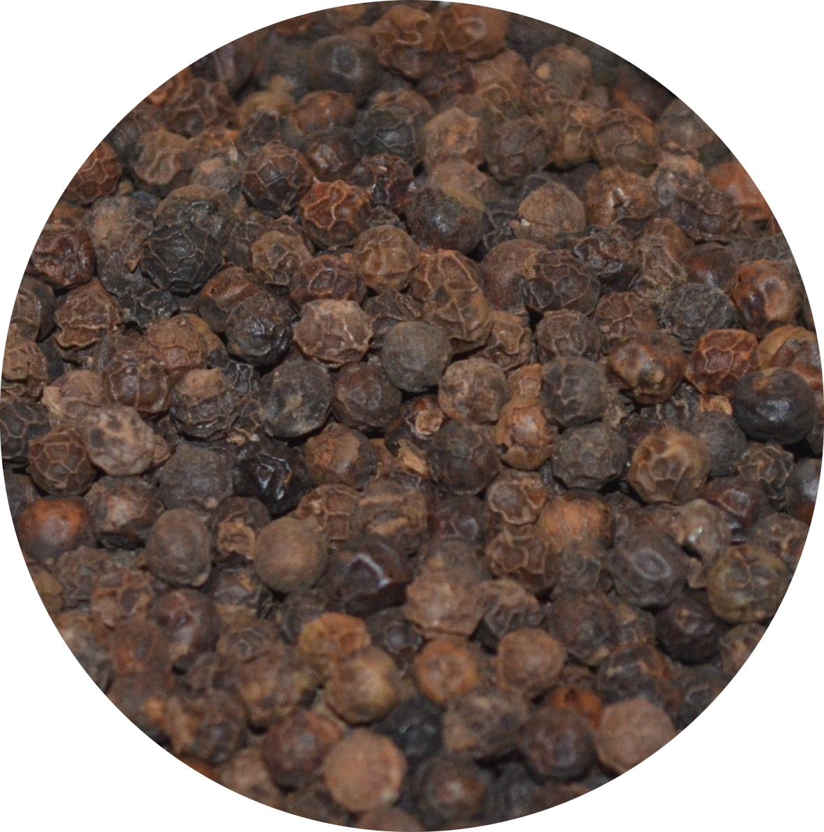 Poivre de Tellichery