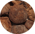 Shiitakes Entiers