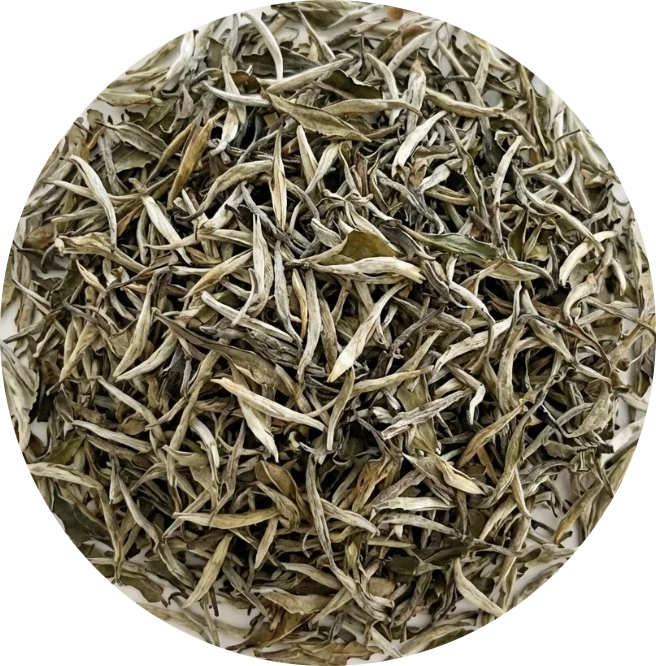 Thé Blanc Paï Mu Tan BIO