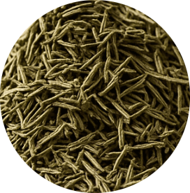 Thym de Provence